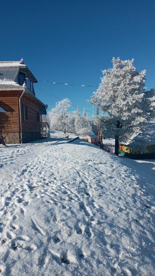 Villa Gutsulska Oselya Krivopol'ye Exterior foto
